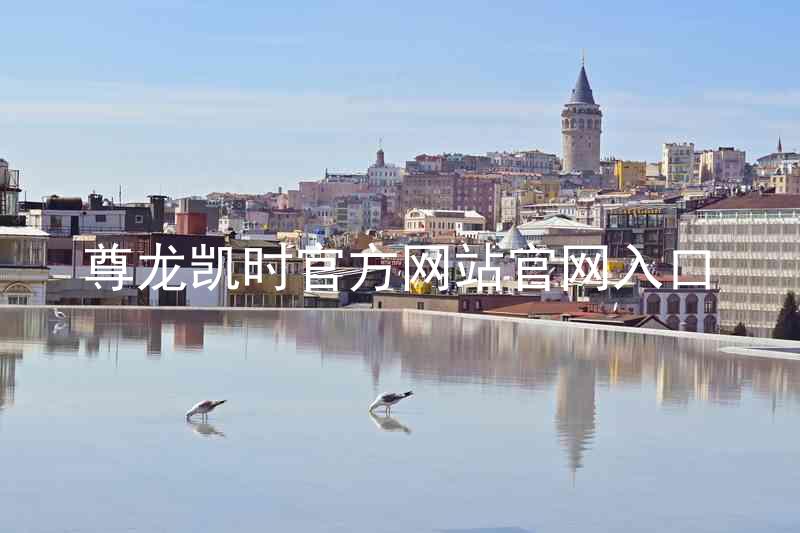 尊龙凯时官方网站官网入口