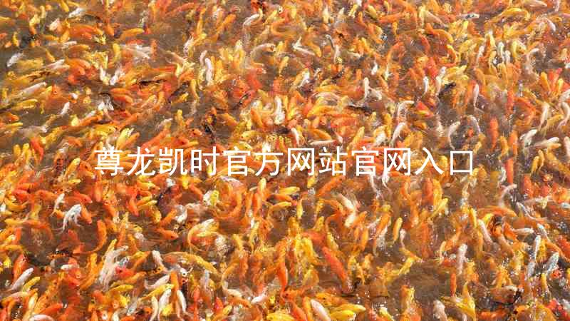 尊龙凯时官方网站官网入口